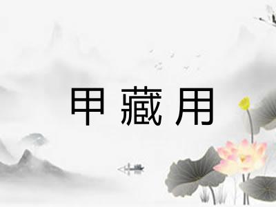甲藏用