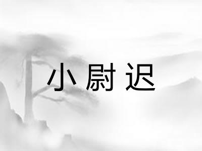 小尉迟