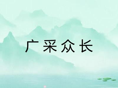 广采众长