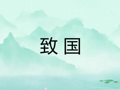 致国