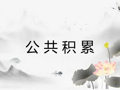 公共积累