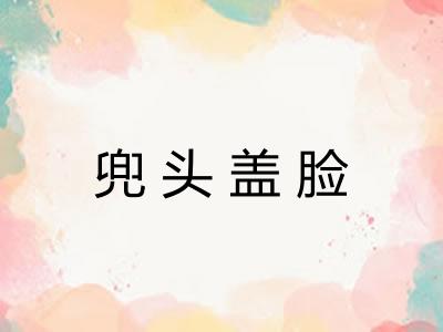 兜头盖脸