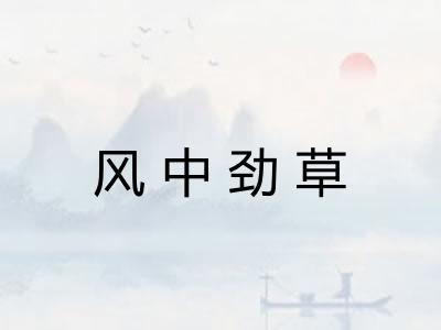 风中劲草