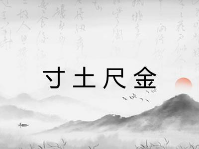寸土尺金