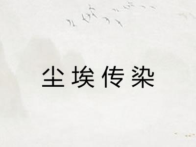尘埃传染