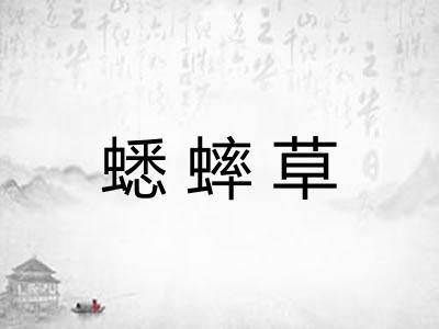 蟋蟀草
