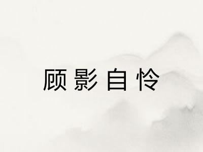 顾影自怜