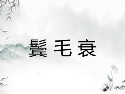 鬓毛衰