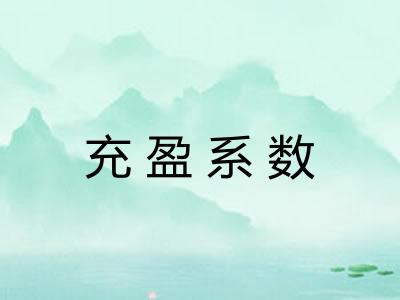 充盈系数
