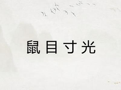 鼠目寸光