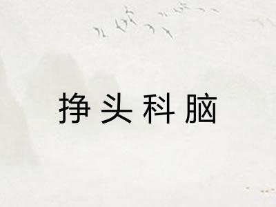 挣头科脑