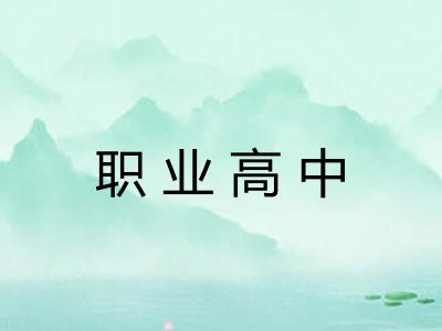 职业高中