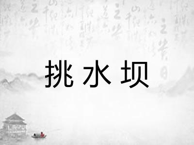 挑水坝