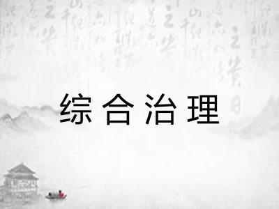 综合治理