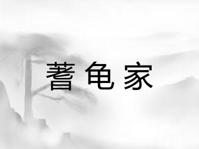 蓍龟家