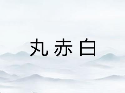丸赤白