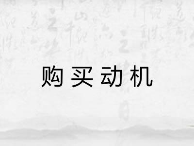购买动机