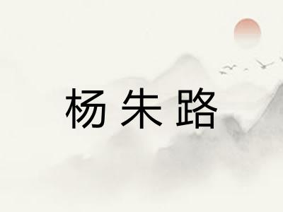 杨朱路