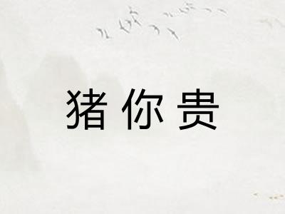 猪你贵