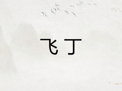 飞丁