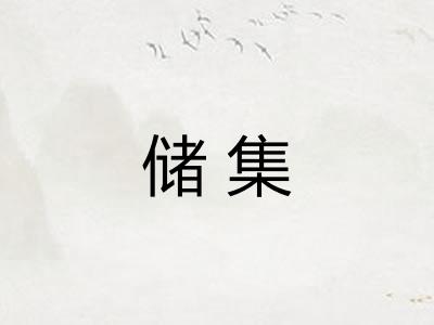 储集