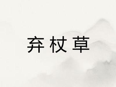 弃杖草