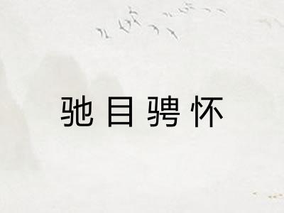 驰目骋怀