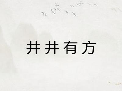 井井有方