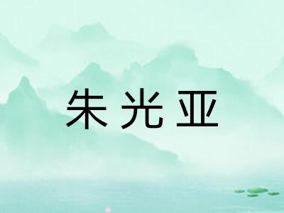朱光亚