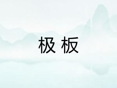 极板