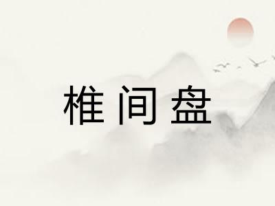 椎间盘
