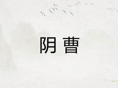 阴曹