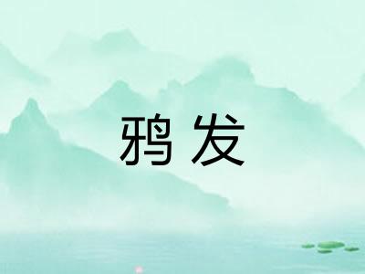 鸦发