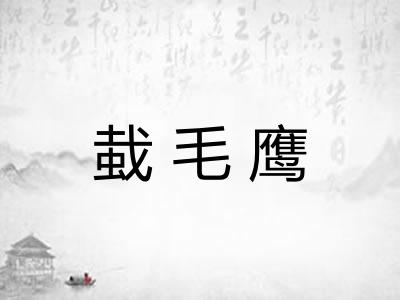 蛓毛鹰