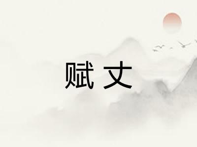 赋丈