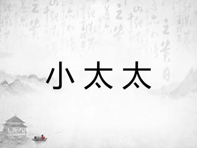 小太太
