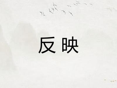 反映