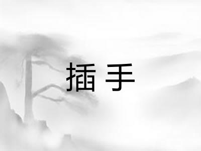 插手