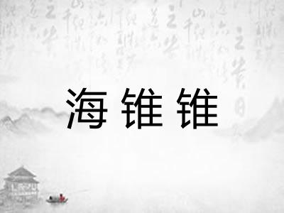 海锥锥
