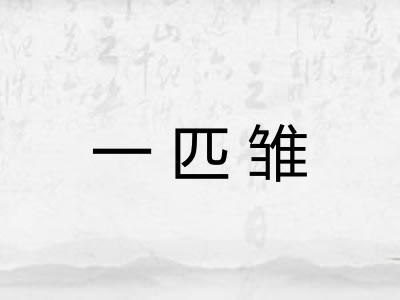 一匹雏