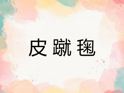 皮蹴毱