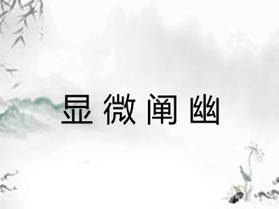 显微阐幽