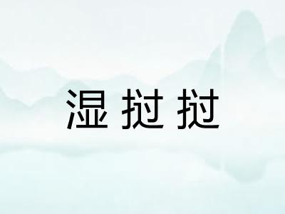 湿挝挝