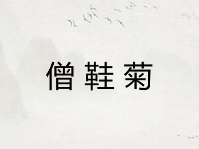 僧鞋菊
