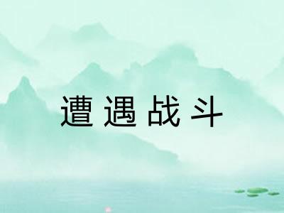 遭遇战斗