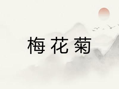 梅花菊