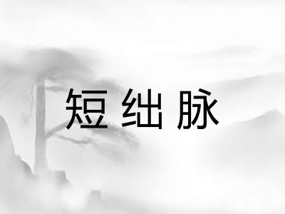 短绌脉