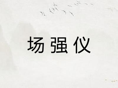 场强仪