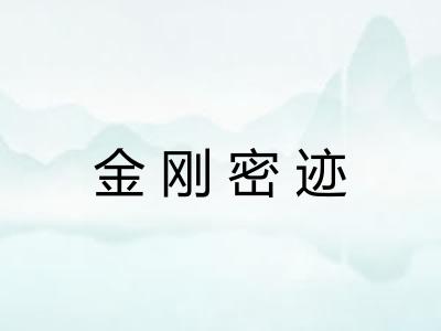 金刚密迹