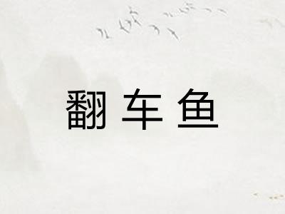 翻车鱼
